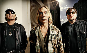 the Stooges 2007